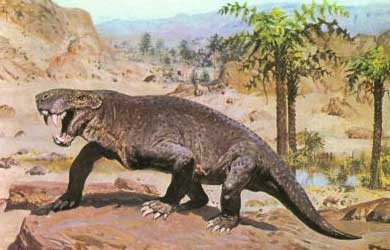 超美品 獣歯類(ゴルゴノプス亜目？)の足跡 爬虫類 化石 アメリカ